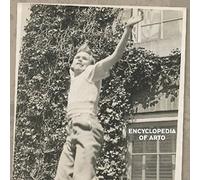 Arto Lindsay - Encyclopedia Of Arto