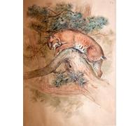ARToPHIIU Abstract Art Picture Art Print Poster Painting for Wall Norwegian Lynx by Wolf Painting on Canvas for Home Decor 60x90cm
