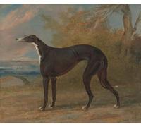 ARToPHIIU Abstract Art Picture Art Print Poster Painting for Wall One of George Lane Winning Greyhounds by George Garrard Painting on Canvas for Home Decor 60x90cm