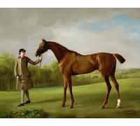 ARToPHIIU Famous Painting Picture Art Print Artwork Picture Lustre Held by a Groom by George Stubbs Poster Painting Art for Home Decor 60x90cm