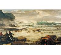 ARToPHIIU Famous Painting Picture Art Print Artwork Picture Wreckage From the Fruiter Poster Painting Art for Home Decor 60x90cm