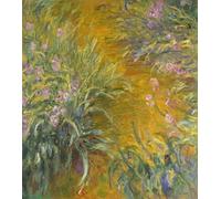 ARToPHIIU Famous Painting Picture Art Print Canvas Prints Art the Path Through the Irises by Claude Monet Oil Painting Artwork for Home Decor 60x90cm