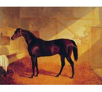 ARToPHIIU Vintage Canvas Painting Print Artwork Poster Print Artwork Mr Johnstone's Charles Xii in a Stable by John Frederick Herring Snr Picture on Canvas for Home Decor 60x90cm