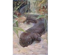 ARToPHIIU Vintage Canvas Painting Print Artwork Poster Print Artwork Salamander From Wildlife of the World by Wilhelm Kuhnert Picture on Canvas for Home Decor 60x90cm