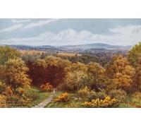 ARToPHIIU Vintage Wall Artwork Paintings Picture Artwork Poster the Happy Valley Tunbridge Wells by Alfred Robert Quinton Art Painting Picture for Home Decor 60x90cm