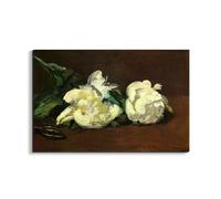 Artopweb EarthArt Materic 53 x 80 cm 3D Material Painting Light Brush Effect Ready to Hang Home Art Decoration Italian Design Eco-Friendly - Still Life, White Peony by Manet Édouard