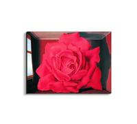 Artopweb EarthArt Materic 58 x 78 cm 3D Material Painting Light Brush Effect Ready to Hang Home Art Decoration Italian Design Eco-Friendly - Homage to René - Le Tombeau Des Lutteurs