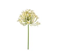artplants.de Artificial Agapanthus PHILINA, cream, 30"/75cm, Ø 5.5"/14cm - Silk flower/Single stem artificial flower
