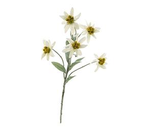 artplants.de Artificial Alpine edelweiss SOPHIA with 5 flowers, white, 16"/40cm - Artificial flower/Silk flower