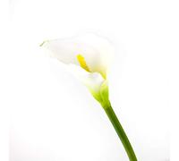 artplants.de Artificial Calla, white, natural touch, 2ft 3", 28"/70cm, 3.1" x 4.7"/8 x 12cm - Plastic Flower - Spring Decoration