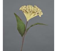 artplants.de Artificial cockscomb BONARES, beige, 60cm