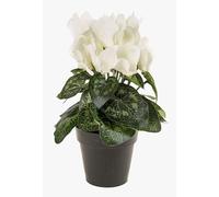 artplants.de Artificial Cyclamen, cream, 10"/25cm