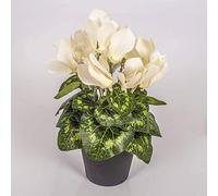 artplants.de Artificial Cyclamen in a pot, 12 blooms, cream, 10"/25cm - Silk cyclamen/Artificial flower in pot