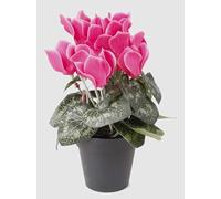 artplants.de Artificial Cyclamen, pink, 10"/25cm