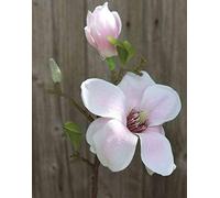 artplants.de Artificial magnolia FEMI, light pink, 14"/35cm, Ø4.7"/12cm
