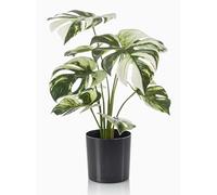 artplants.de Artificial Philodendron Monstera Deliciosa Variegata Zaine, green-white, 40cm - Artificial Philodendron