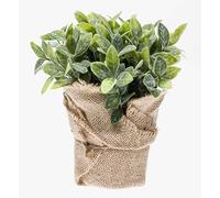 artplants.de Artificial Sage VITUS, green-white, 8"/20cm | in a jute bag - Artificial kitchen herb/Fake plant