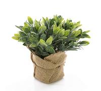 artplants.de Artificial Sage VITUS in a jute bag, green-white, 8"/20cm - Artificial kitchen herb/Fake plant