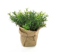 artplants.de Artificial Thyme VITUS in a jute bag, green, 7"/18cm - Artificial kitchen herb/Fake plant