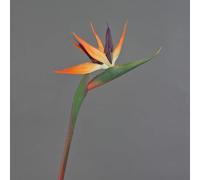 artplants.de Decorative Flower Strelitzia DONGLIN, orange-purple, 33"/85 cm