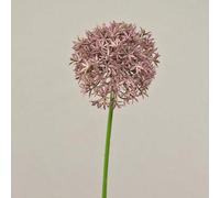 artplants.de Fake allium ARNAU, light pink, 24"/60cm