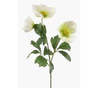 artplants.de Fake Christmas rose MERUEL, white-green, 45cm