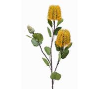 artplants.de Fake flower Banksia CONAKIR, yellow, 70cm | Silk flower spray/Artificial flower branch