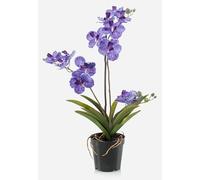 artplants.de Fake flower orchid Vanda CAMPO, violet, 60cm | Faux orchid stems/Artificial orchid