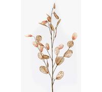 artplants.de Fake lunaria branch BUELNA, light brown, 105cm | Faux leaf spray/Artificial honesty plant