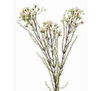 artplants.de Fake wax flower MEDEA, cream, 31"/80cm