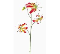 artplants.de False gloriosa TIANA, pink-green, 31"/80cm, Ø3.1"-6"/8-15cm - Fake flowers/Artificial gloriosa