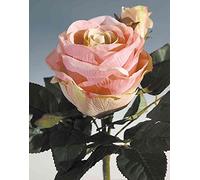 artplants.de False rose VIVIANE on spike, pink-cream, 23 cm, Ø 4-10 cm