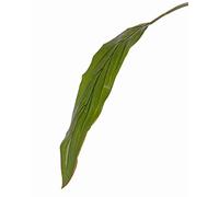 artplants.de Plastic cordyline leaf ELARA, green, 3ft/90cm - Fake foliage/Artificial cordyline leaf