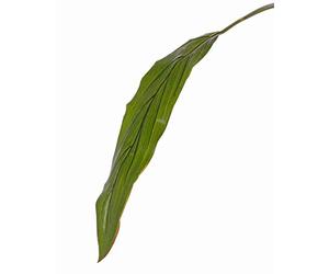 artplants.de Plastic cordyline leaf ELARA, green, 3ft/90cm - Fake foliage/Artificial cordyline leaf