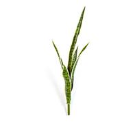 artplants.de Plastic Sansevieria, snake plant on a spike, green-yellow, 31"/80cm - Artificial Sansevieria - Decoration Plant
