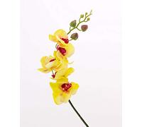 artplants.de Plastic Sprig of Orchid Phalaenopsis, real touch, green-burgundy, 3ft/90cm - Plastic Orchid Sprig - Window Decoration