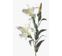 artplants.de Silk flower Lily, white, 3ft/95cm, Ø 6"/15cm | with 2 blossoms - Artificial lily/Plastic flower