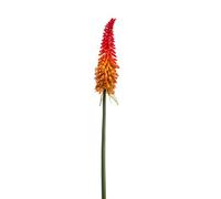 artplants.de Silk torch lily MUNDAKA, red-orange, 85cm - Faux Red hot pokers/Artificial flower stem
