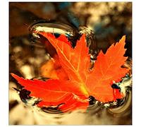 ArtPlaza Art Studio-Foglia d'autunno Decorative Panel, Wood, Multi-Colour, 30 x 1.8 x 30 cm