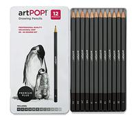 artPOP! Professional Drawing Pencil Set of 12, 6B - 4H Graphite Art Pencils with Hexagonal Grip, Ideal for Sketching, Art Drawings, and Shading, Includes Metal Tin