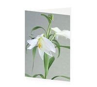 ArtPress Gentleness Lily Sympathy Greeting Card (12 x 17 cm)