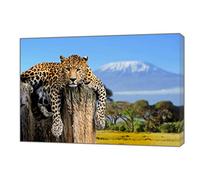 ARTS PRINTS Big Cat Leopard Lying Landscape Picture Print On Framed Canvas Wall Art 20’’ x 16" inch(50x 40 cm) -18mm Depth