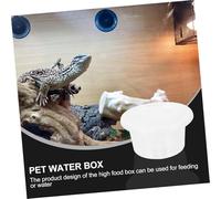 ARTSEWPLY 10pcs Clear Spider Feeding Containers Small Reptile Breeding Boxes for Geckos Snakes Tarantulas with High Visibility Design for Easy Pet Observation and Convenient Feeding