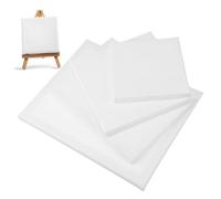 ARTSEWPLY 12pcs Cotton Canvas Boards Small Square Blank Painting Canvas Panels for Artists Smooth Texture Oil and Painting Boards in Multiple