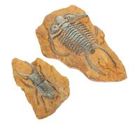 ARTSEWPLY 2Pcs Resin Fossil Terrarium Decors for Reptiles Lizard Tortoise Dark Atmosphere Enhancer Stain-resistant Natural Feel Home Decorative Ornaments