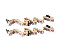 ARTSEWPLY 2pcs Ukulele Strap Rainbow Ethnic Style Guitar Shoulder Sling for Comfortable Standing Play Compact and Practical Accessories for Home and Outdoor Use