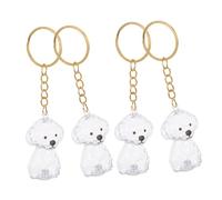 ARTSEWPLY 4pcs Dog Hair Storage Keychain Transparent Capsule Pet Hair Keepsake Holder Compact Dustproof Seal Memorial Accessory for Emotional Connection
