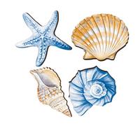 ARTSEWPLY 4pcs Wood Nautical Wall Ornaments with Real Seashells Coastal Bathroom and Beach House Decoration Space-saving Mediterranean Style Wooden Conch Shell Art for Indoor Outdoor