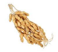 ARTSEWPLY 5Pcs Lifelike Fake Peanut String Hanging Photo Props Decorative Models for Photography Kindergarten Home Party Thanksgiving Decoration