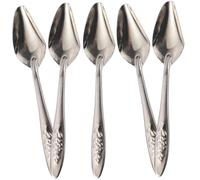 ARTSEWPLY 5Pcs Stainless Steel Bird Feeding Spoons for Parrots Cockatiels Multi-function Milk and Medicine Feeder Lightweight Rustproof Metal Spoon for Small to Large Birds